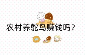 农村养鸵鸟赚钱吗？
