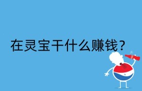 在灵宝干什么赚钱？