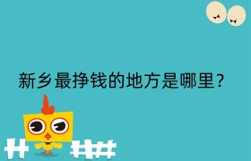 新乡最挣钱的地方是哪里？