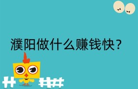 濮阳做什么赚钱快？