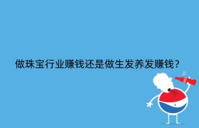 做珠宝行业赚钱还是做生发养发赚钱？