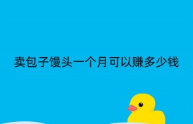卖包子馒头一个月可以赚多少钱