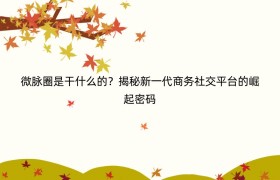 微脉圈是干什么的？揭秘新一代商务社交平台的崛起密码