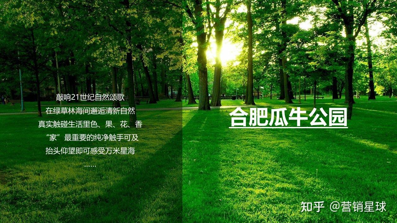 创业挣钱选冷门，房地产、医美、互联网金融、高端餐饮行业等你来