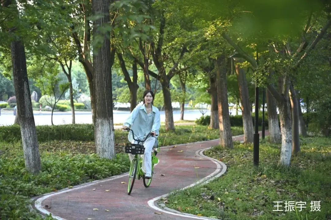 嘉兴元一柏庄 公交车身从大变小，微型化趋势能否满足出行需求？
