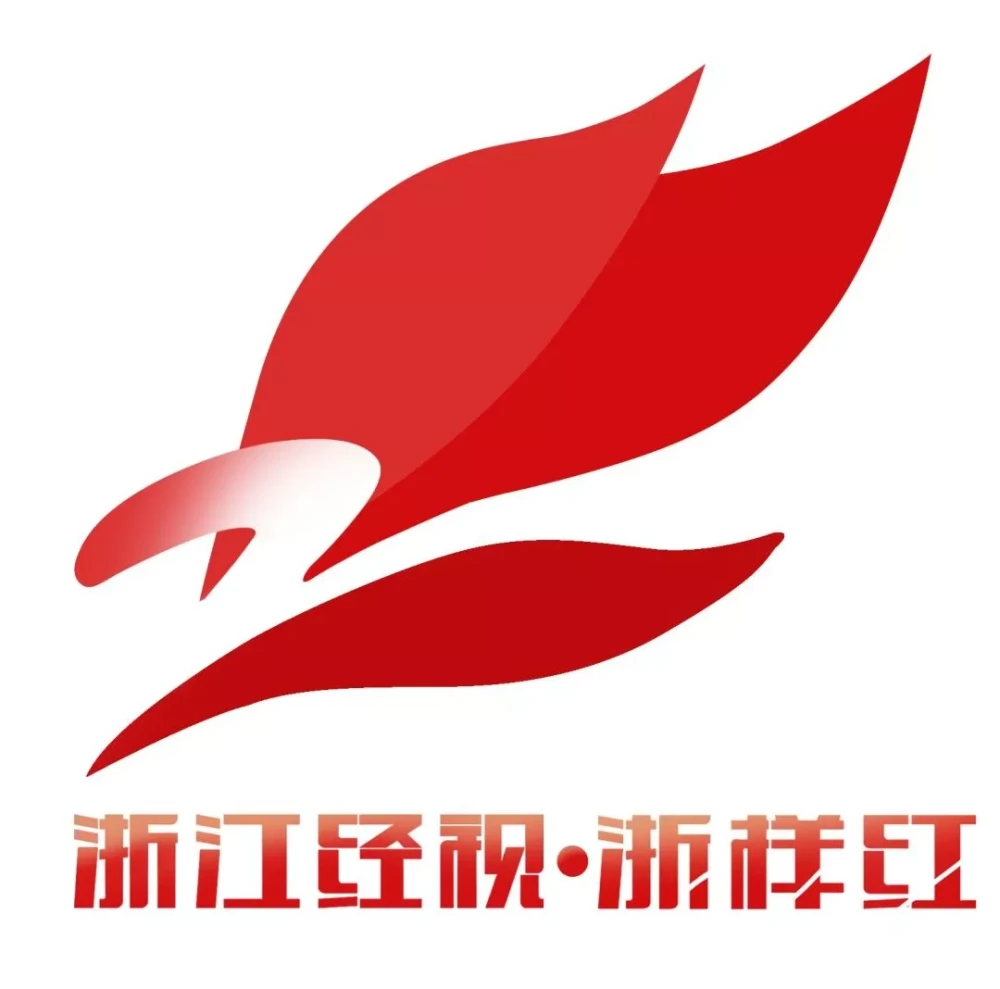 杭州中赛实业：专业儿童卡通品牌运营商，年增长率超 80%