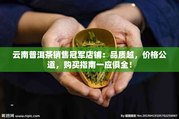 想轻松开茶叶店？茶到店为你提供保质保真、价格优惠的品牌茶叶及 360 度服务