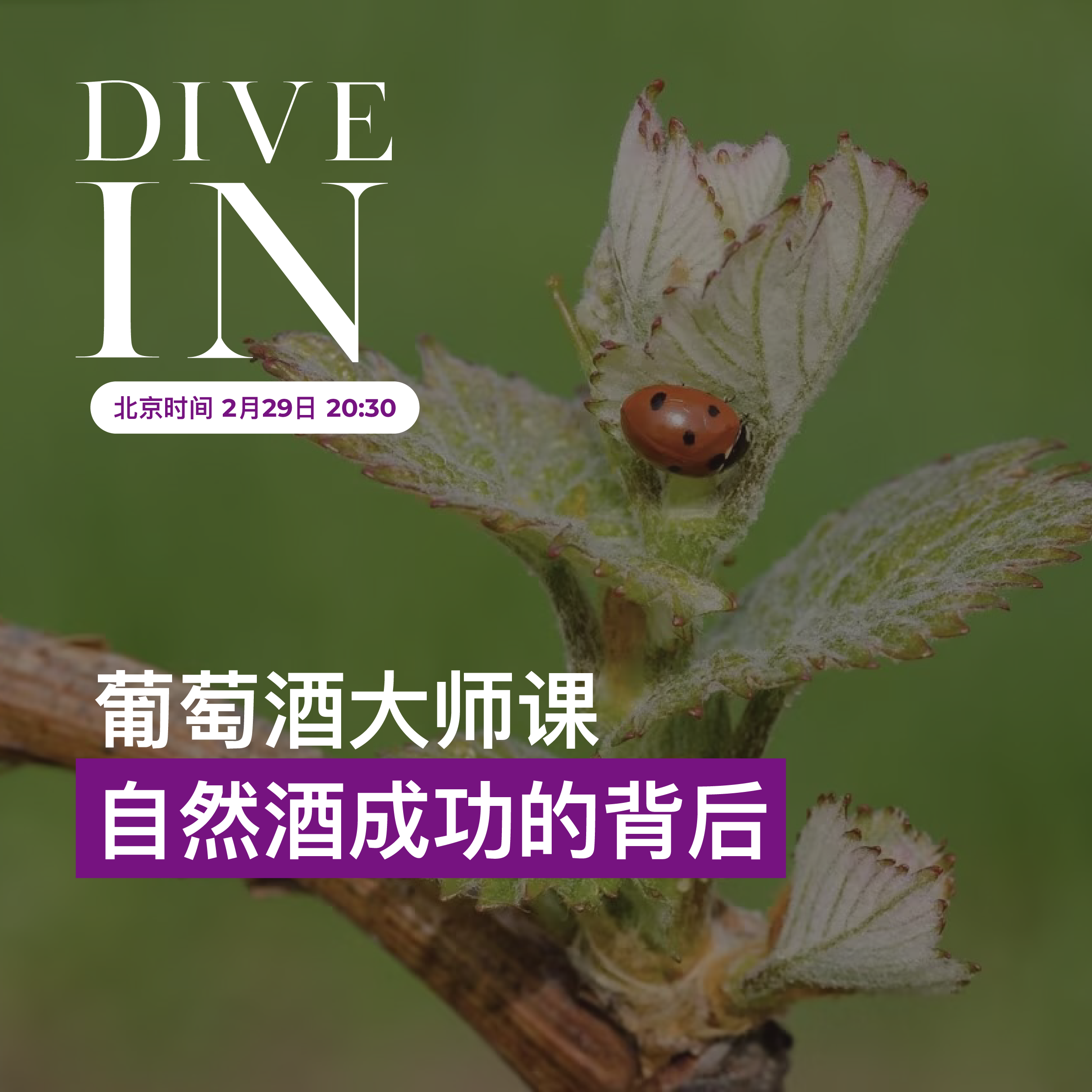 葡萄酒商学院第 16 期课程：抓住 80 和 90 葡萄酒消费者的秘诀