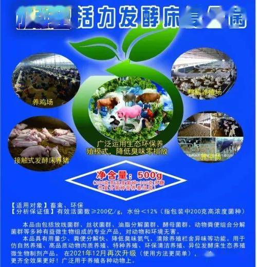养牛场常用消毒剂有哪些？大汉养牛基地为您介绍