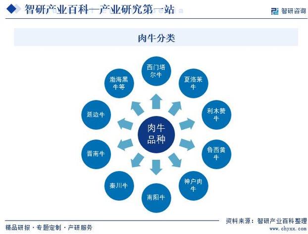 养牛场常用消毒剂有哪些？大汉养牛基地为您介绍